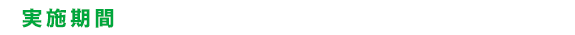 実施期間 2014/9.6-2015/1.31