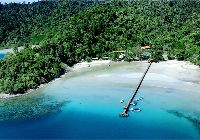 Sustainable 海洋プロジェクト