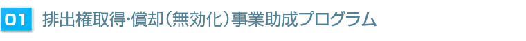 １）排出権取得・償却（無効化）事業助成プログラム