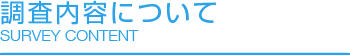 調査内容について
