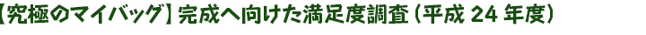 【究極のマイバッグ】完成へ向けた満足度調査（平成24年度）
