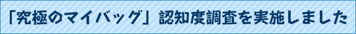 「究極のマイバッグ」認知度調査を実施しました