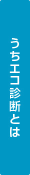 うちエコ診断とは？