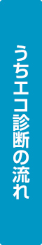 うちエコ診断の流れ